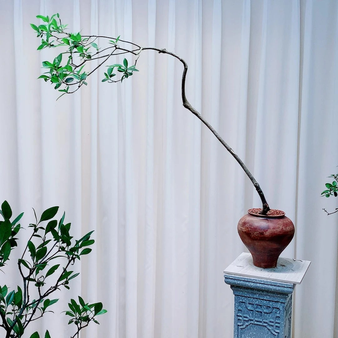 皮**蛋公交咯哦哦哦哦哦哦哦