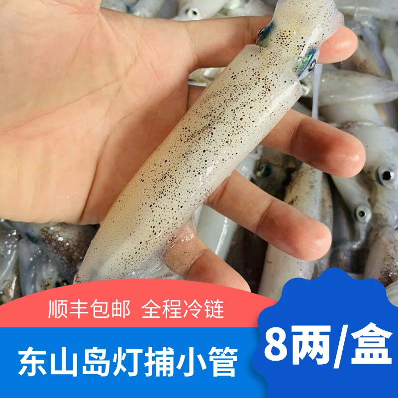 艾秀宸品海鲜 灯捕小管 东山岛海鲜 鲜活冷冻海兔子  6-12条/400g