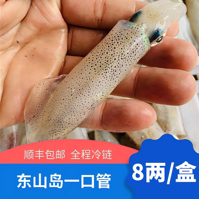 艾秀宸品海鲜 灯捕一口管 东山岛海鲜鲜活冷冻海兔子20-30条/400g
