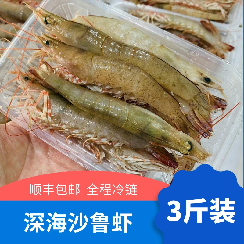 艾秀宸品海鲜沙鲁虾 东山岛沙卢虾非养殖 鲜活冷冻 10-12条/250g