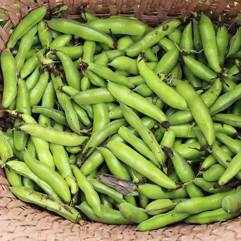 湖北农村露天自种带壳豌豆八巴果嫩甜豆荚胡豆现摘现发5斤包邮