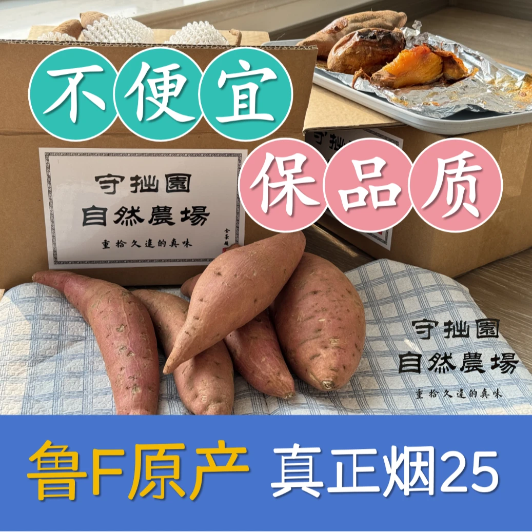 守拙园「烟 25」优选甘薯5斤装