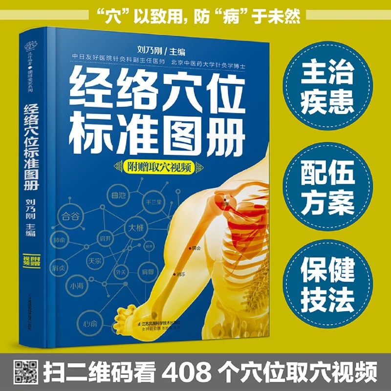 经络穴位标准图册 中医推拿按摩书养生书籍大全养生书籍人体经络