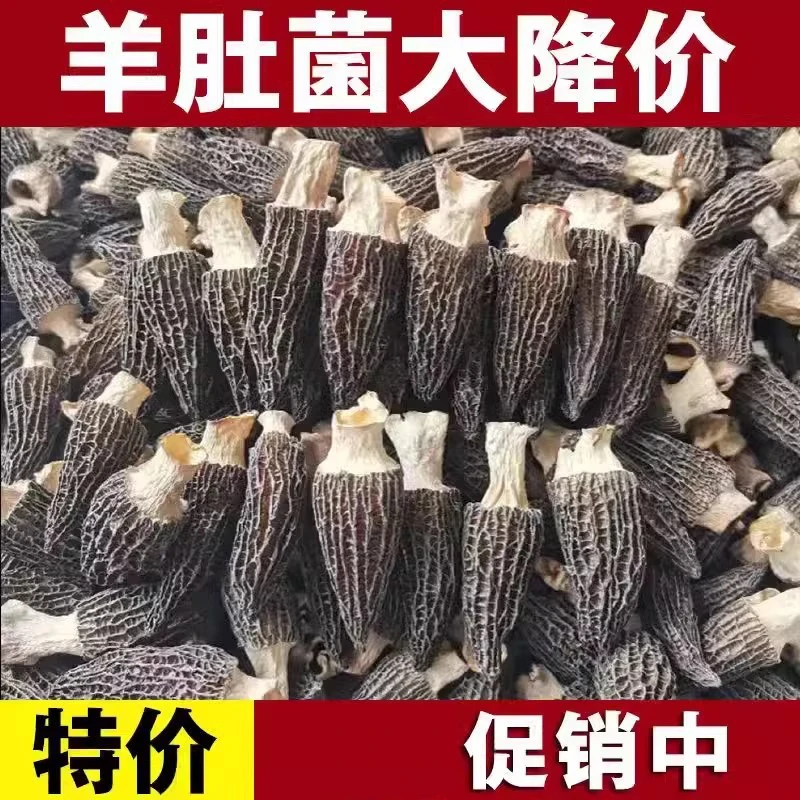 【精选60个羊肚菌】干货特产羊肚菌鲜嫩营养美味菌菇2-4cm