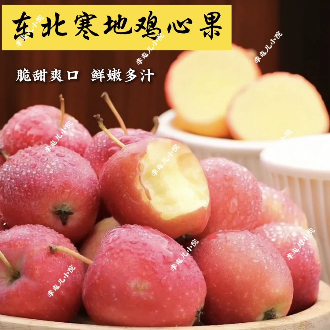 东北新鲜当季鸡心果（精品大果）礼箱装