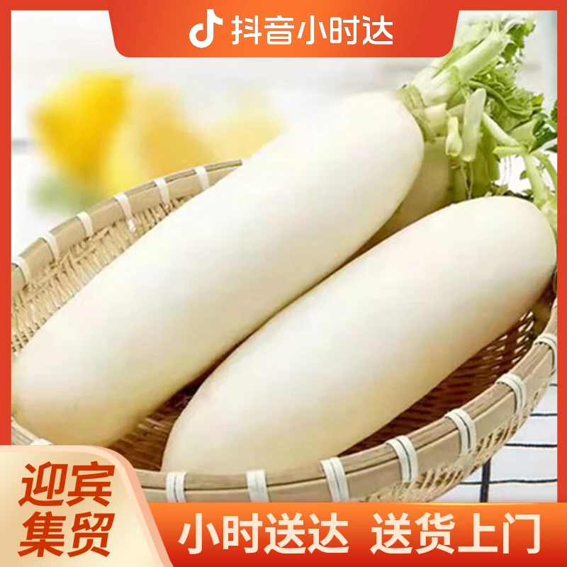 白萝卜（1根装，每根500g左右）