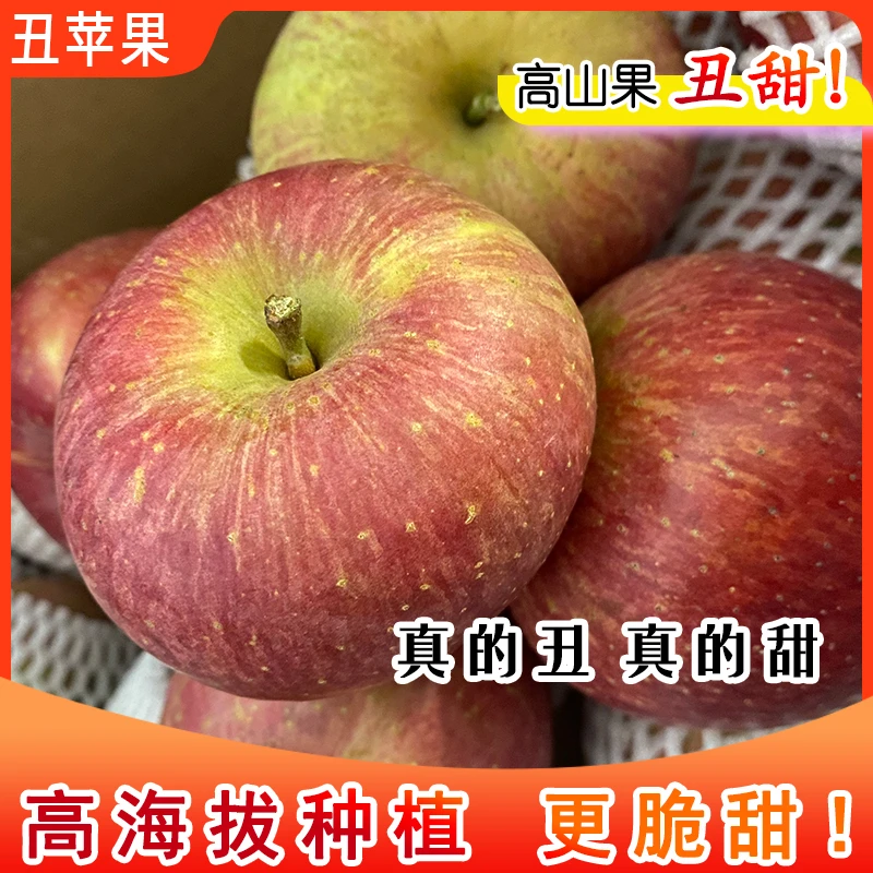 【今天摘果】云南曲靖马龙苹果农家种植口感甜脆爽水果新鲜整箱当季