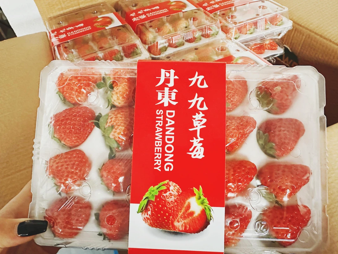 丹东99草莓 1盒20粒装 250g