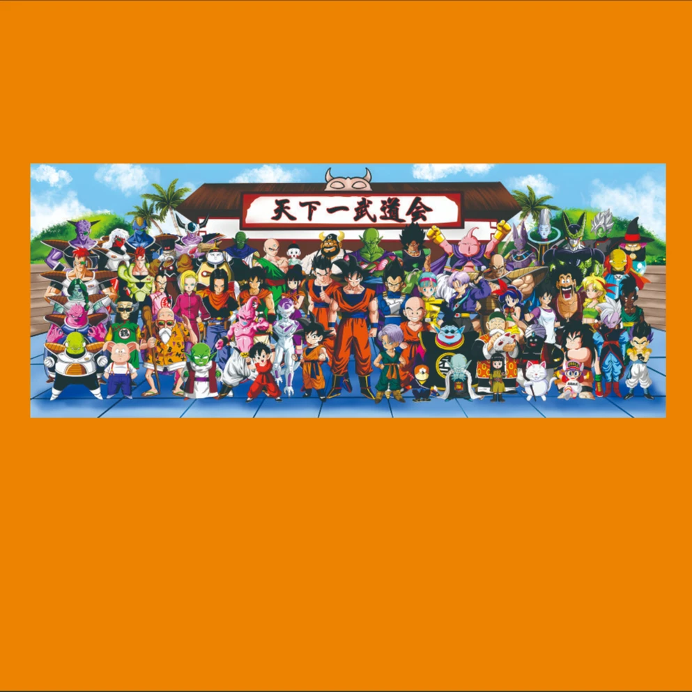 《天下一武道会》儿童玄关客厅卧室现代装饰画50-100 铝合金  L-63