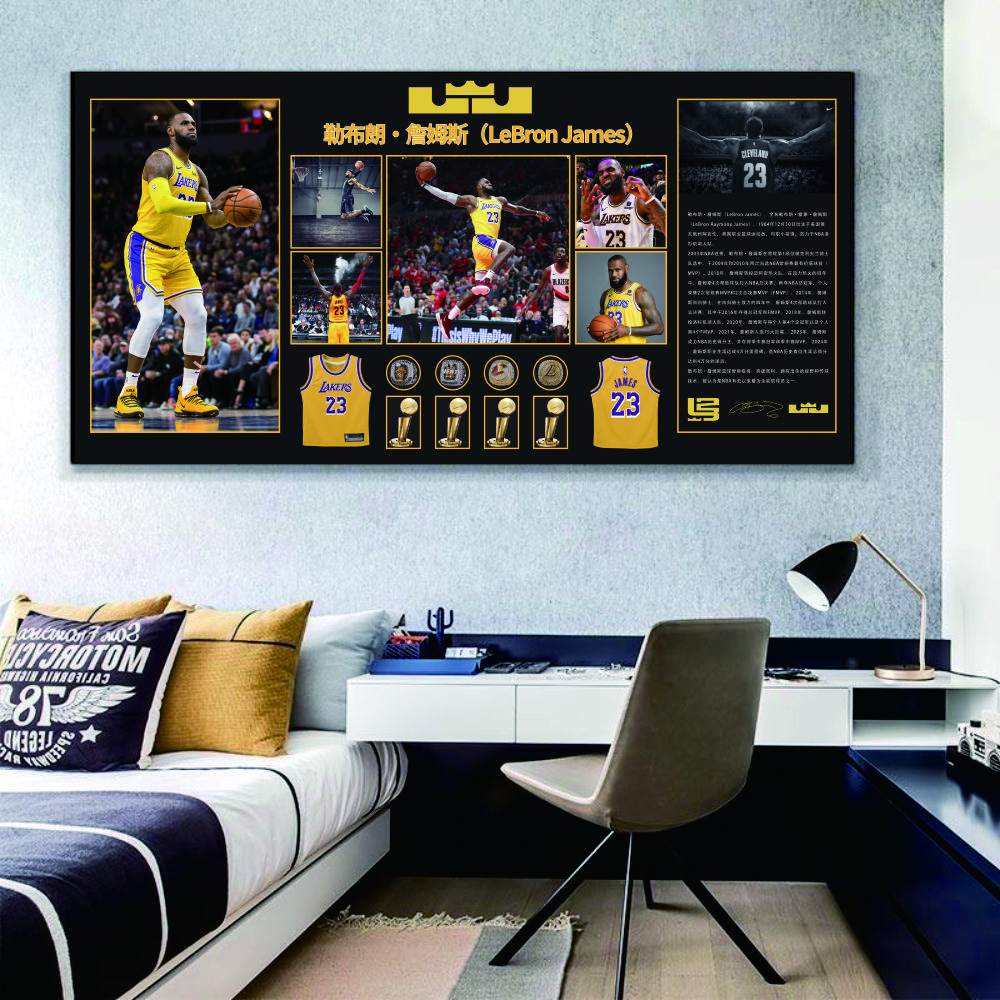 《詹姆斯简介》现代动漫装饰画L-142-40-80