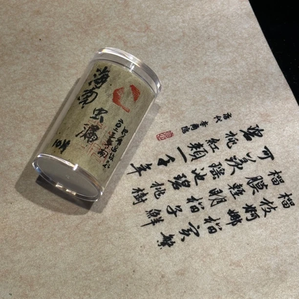 高阶无粘微盘香海南虫漏10片装