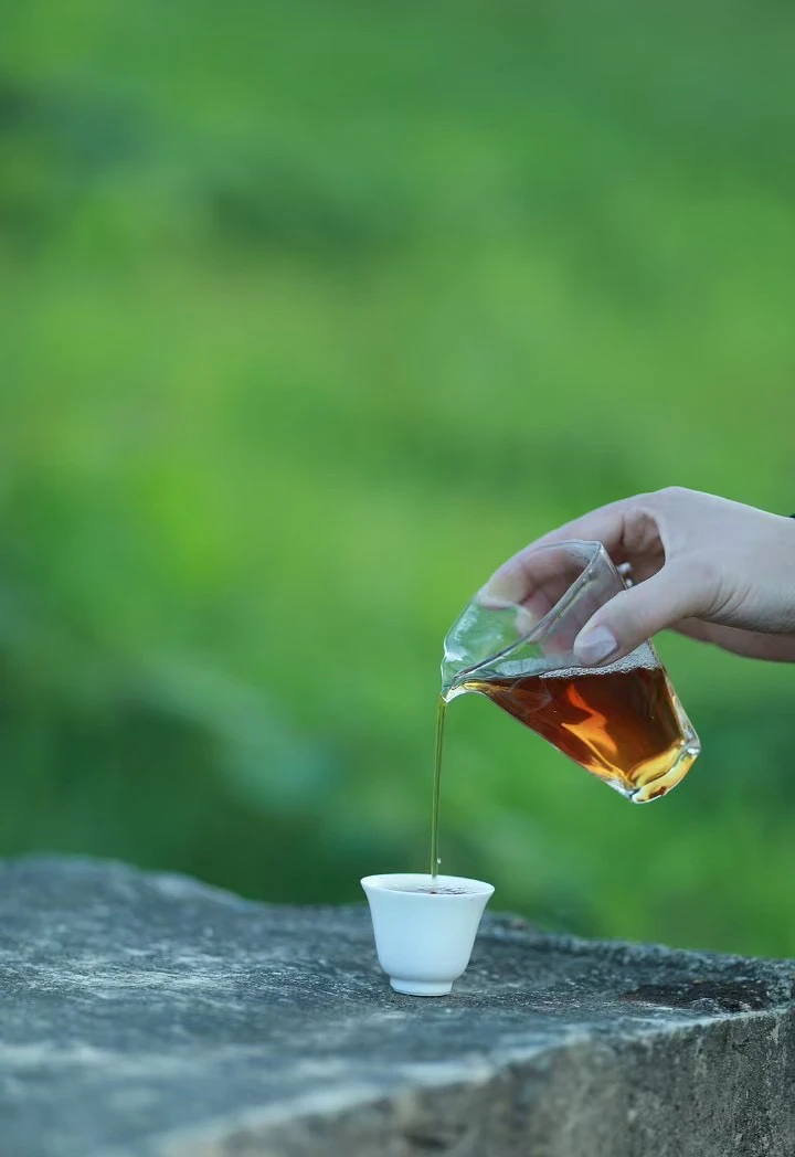 12.14【岩犟】武夷岩茶开播福利单