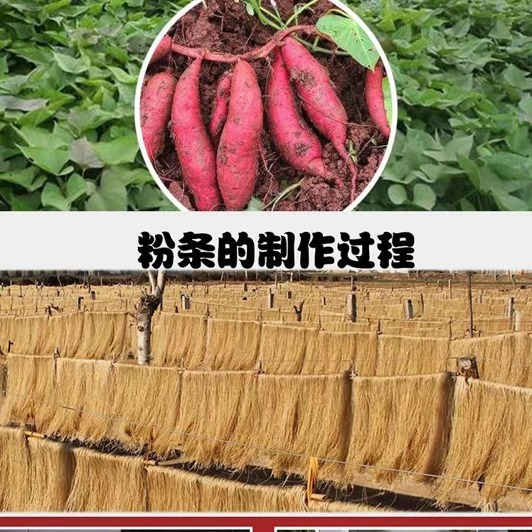 农家红薯粉条地瓜粉条纯手工自然晾晒红薯江西特产筋道