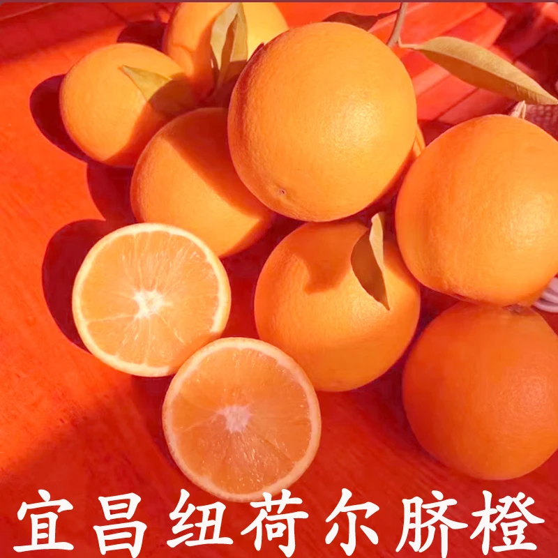 脐橙新鲜10斤水果橙子大果榨汁应季17度5当季孕妇宜昌薄皮纽荷尔