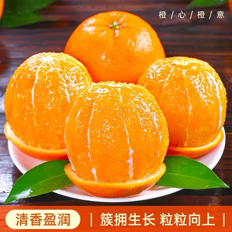 S【赣南脐橙】新鲜包邮产地直发正宗江西赣州果冻橙子应季水果