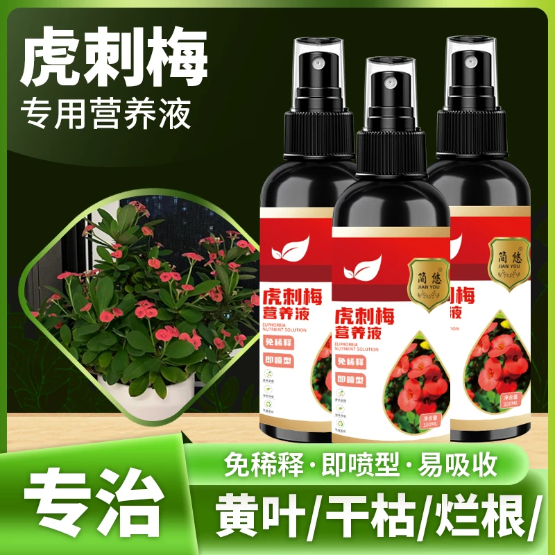 虎刺梅专用肥虎刺梅怎么养虎刺梅铁海棠专用营养液催花护花花肥