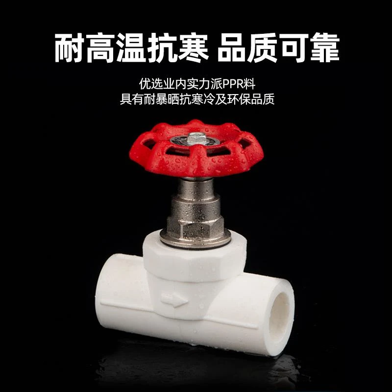 ppr截止阀4分202532升降式止水阀门开关pe水管铜阀芯配件闸阀40