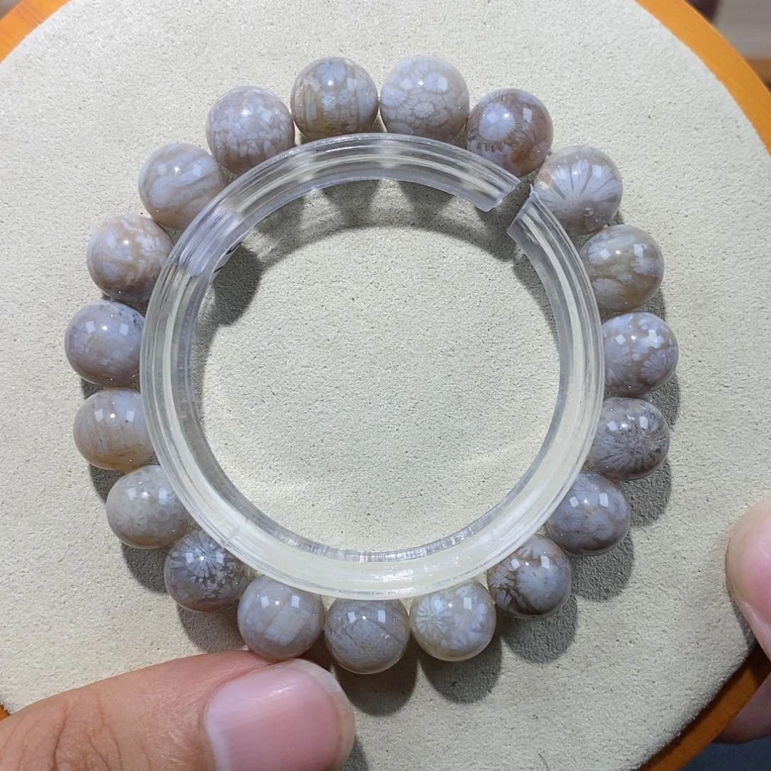 硅化珊瑚（珊瑚玉）手串未镶嵌灰冰满花174