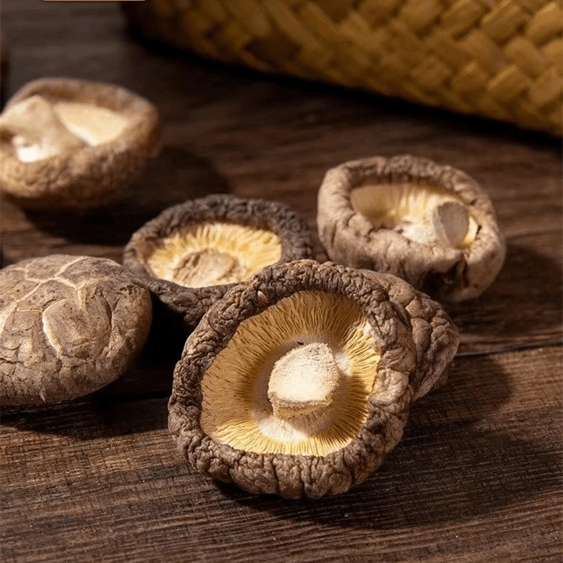 香菇干货肉质肥厚食用菌煲汤炖汤菌菇菌类生长方便500g
