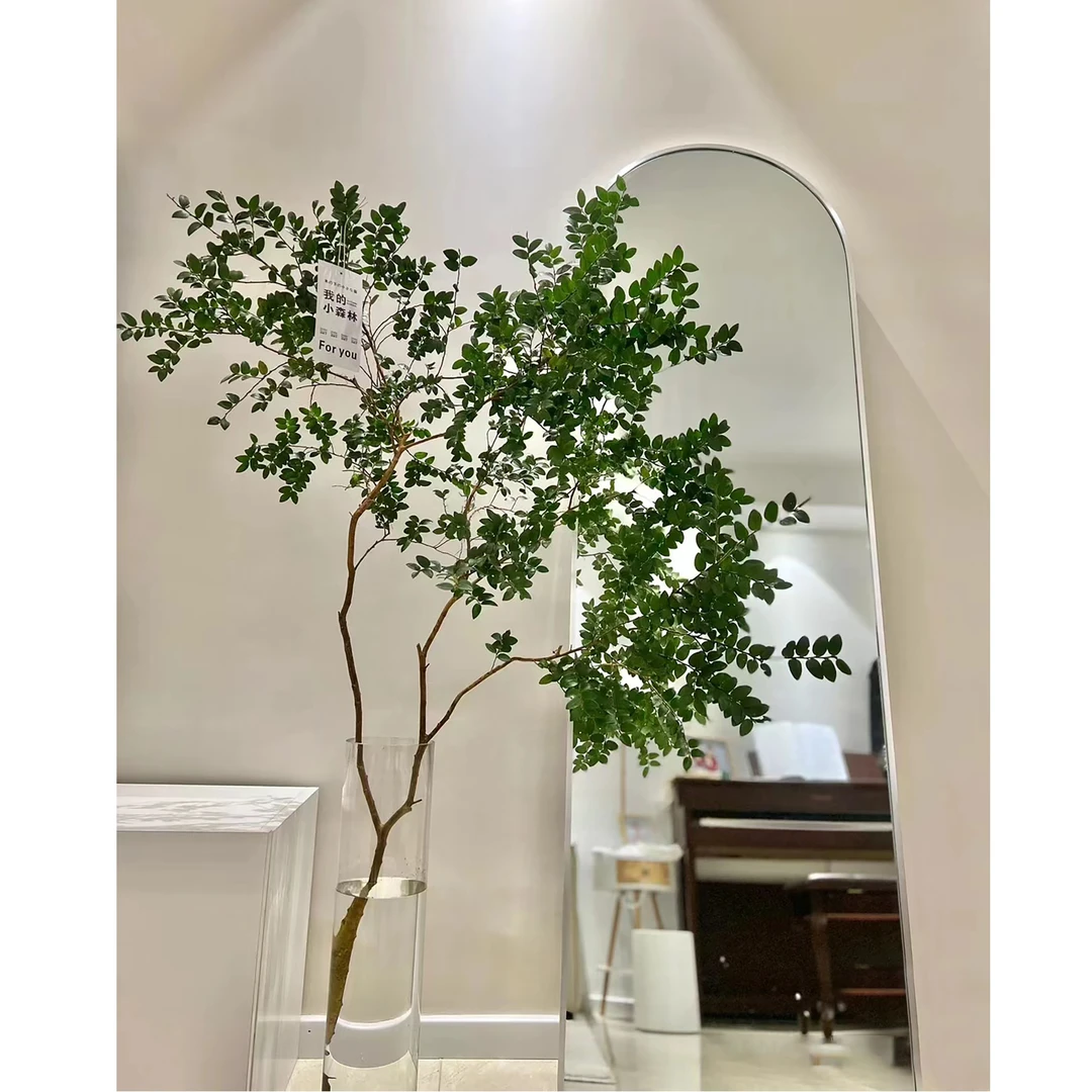 【拍一发二】美男树水培鲜切枝马醉木吊钟平替植物室内花卉客厅绿植