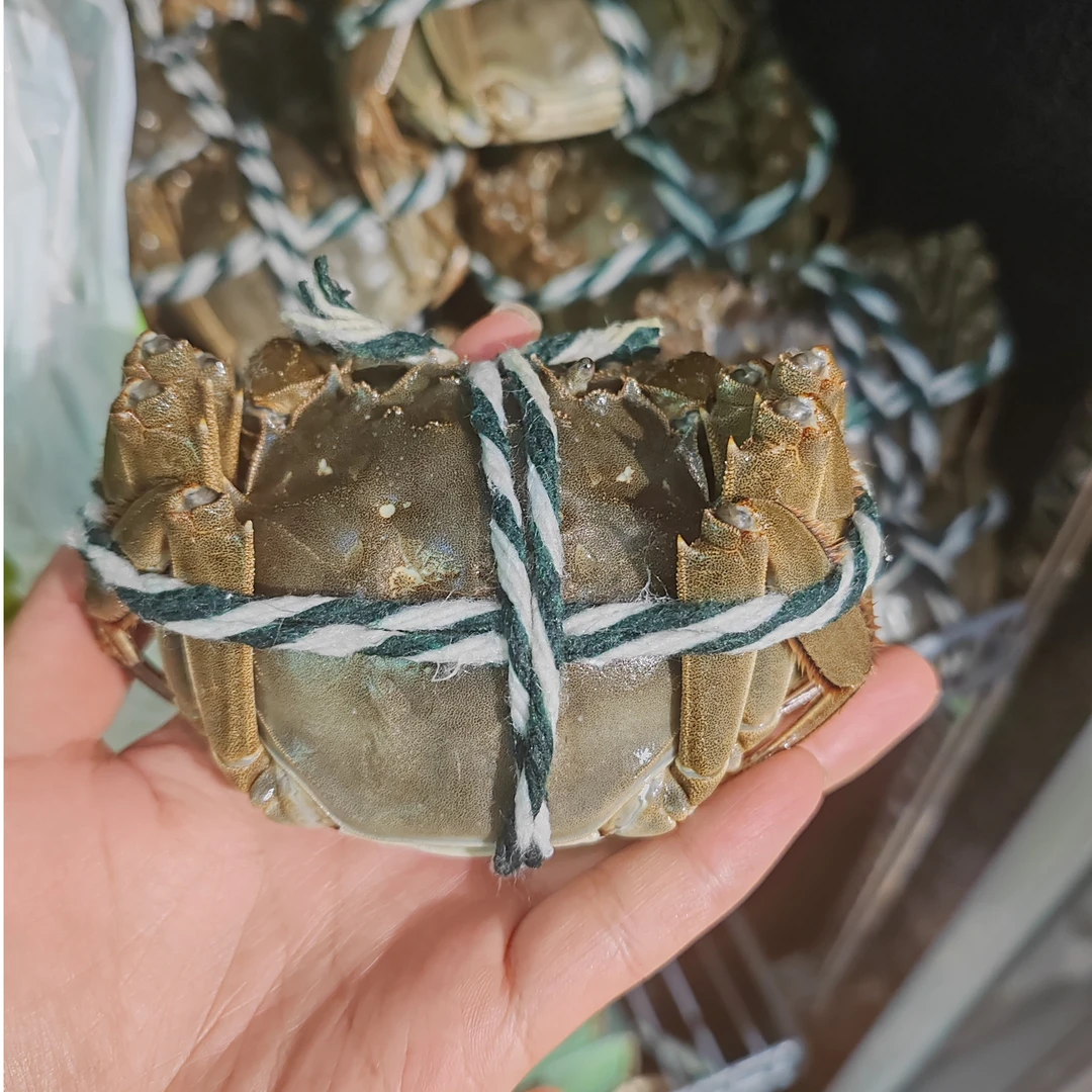 2.5大闸蟹(4只)