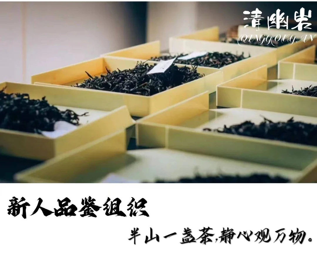 【新人品鉴组合】武夷岩茶大红袍