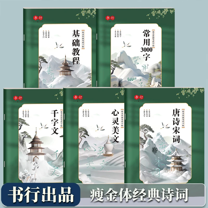 瘦金体钢笔书法字帖成年人初学基础入门女生硬笔字体描红练字本