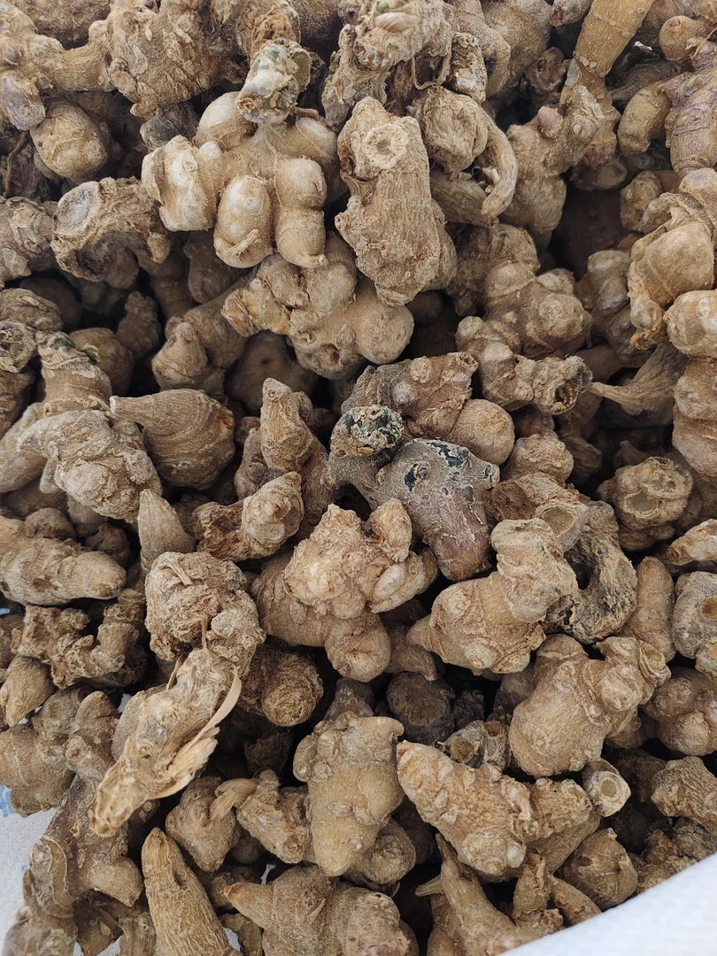 云南土特产。。。竹干货链接