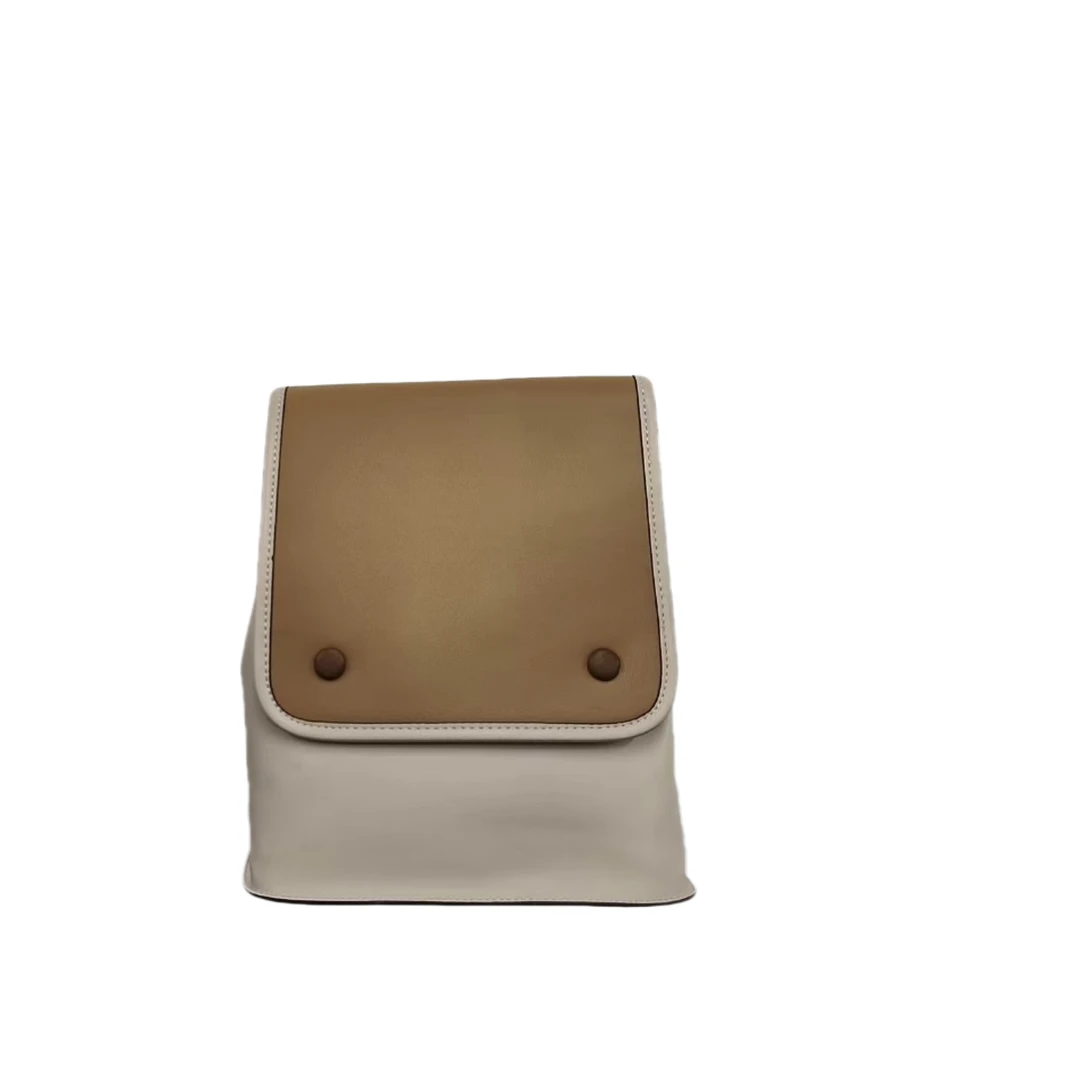 【工厂直销】1311轻奢百搭时尚手提斜挎包