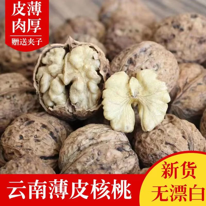 云南薄壳核桃老树丑核桃大麻子云南纸皮核桃干货散装坚果孕妇