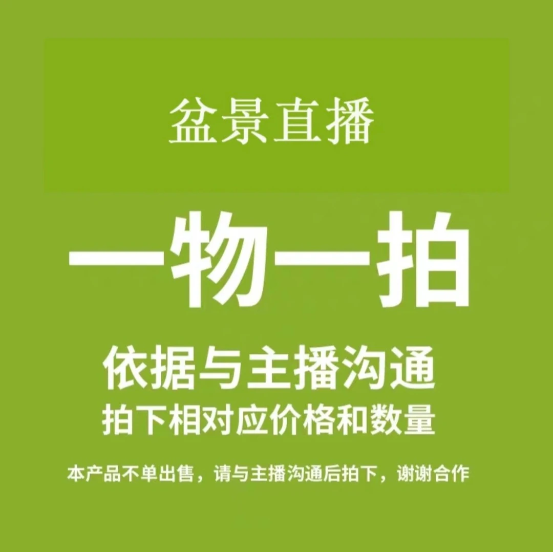 【1号链接】梅花直播间 一物一拍 土球发货