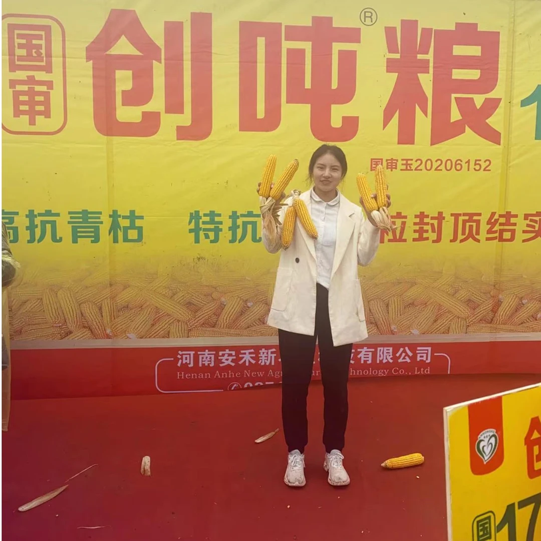 国审超高产创吨粮1748玉米种品种