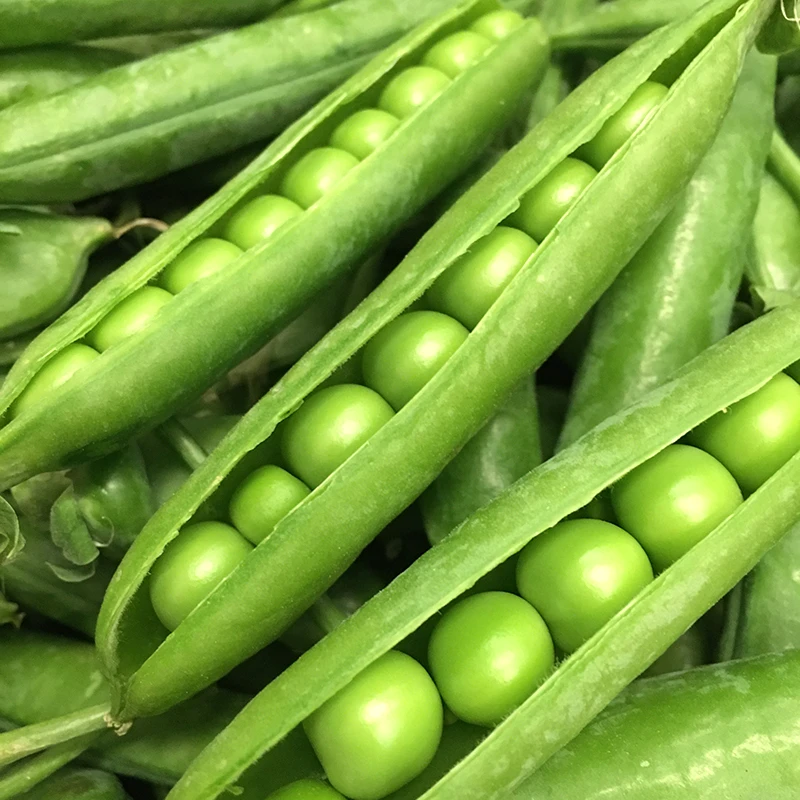 云南现摘甜豌豆3/5斤装带壳生豌豆新鲜豌豆荚