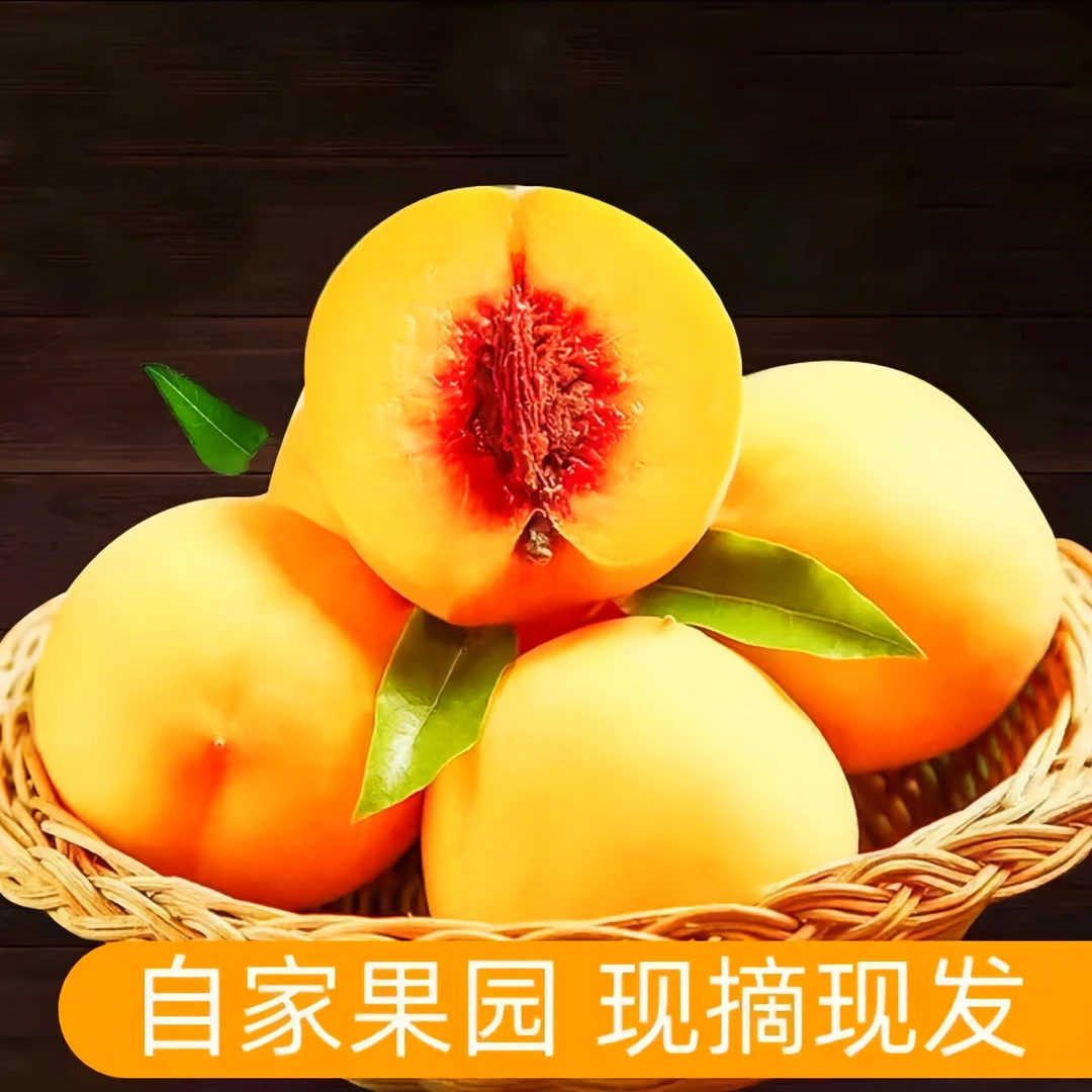 【坏果包赔】正宗蒙阴锦绣黄桃山东桃子新鲜水果脆黄桃原产地