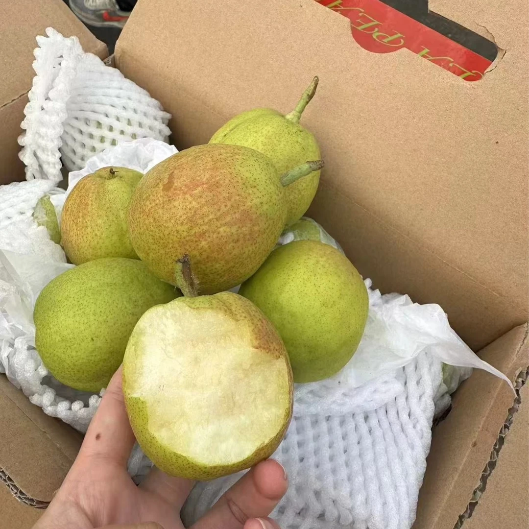 【配送到家】香梨1箱