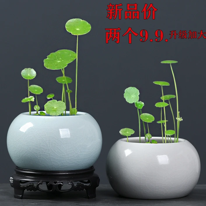 水培花盆陶瓷 桌面铜钱草水培盆 无孔花盆绿萝盆栽四季通用花盆