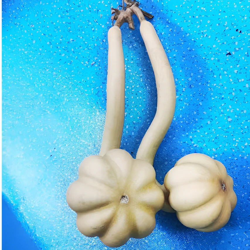 精品葫芦批发零售（2号链接）