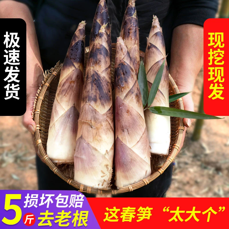 蜜计划  | 选鲜雷笋鲜嫩鲜甜坏果包赔 去老根中笋净重4.5斤+