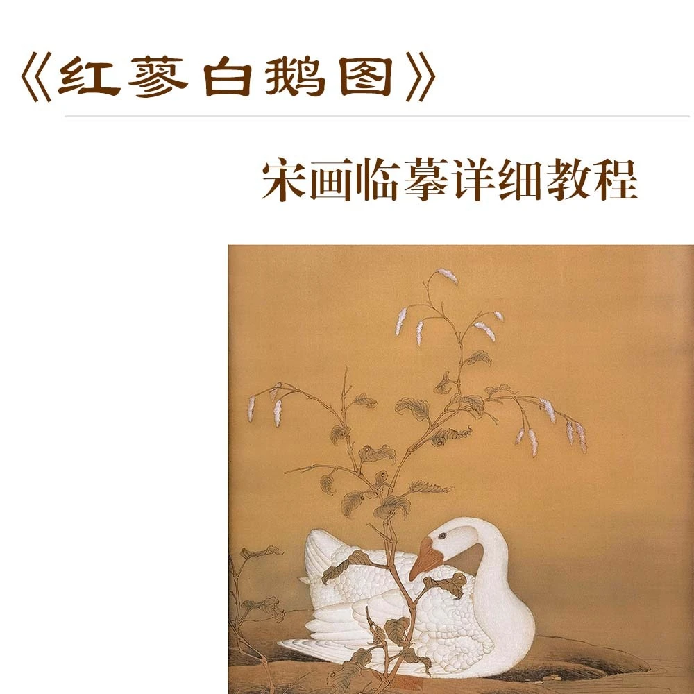 工笔画临摹教程11-红蓼白鹅图-花鸟班15-23课