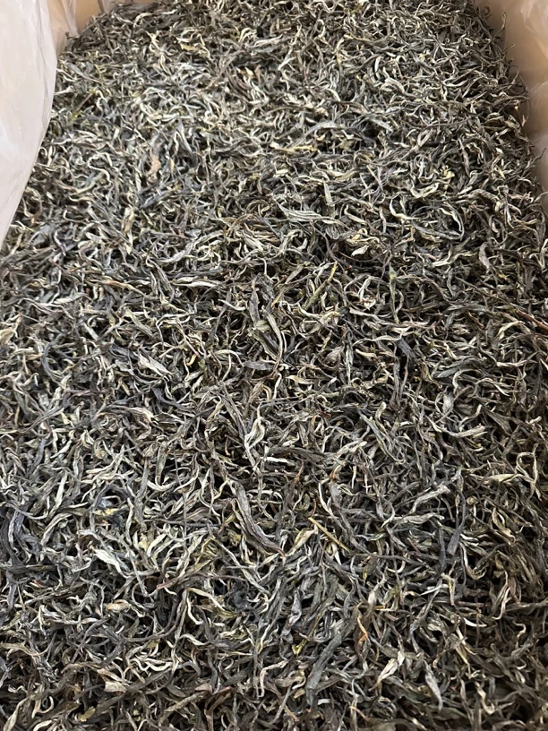 2024年帕沙头春普洱茶生茶100克/250克/500克