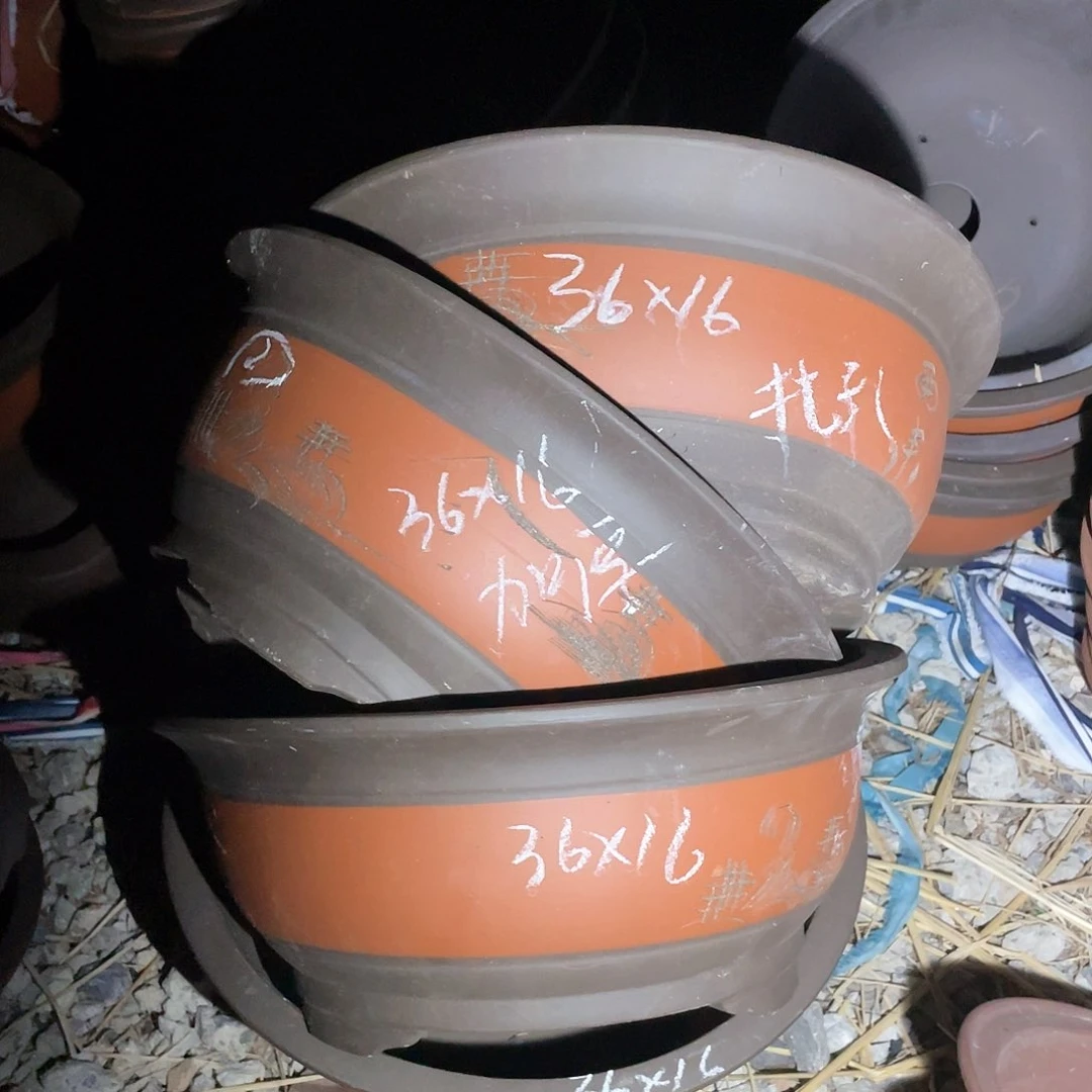 紫砂20CM（含）-50CM（不含）红色一组4只