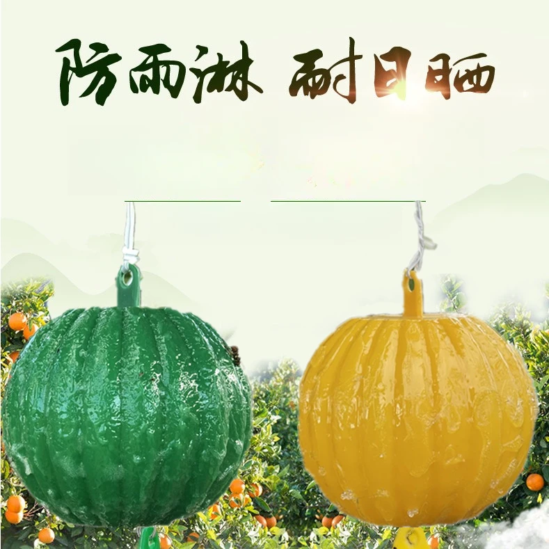果蝇诱捕器去除小飞虫克星室内厨房水果店蠓虫粘虫球灭杀苍蝇