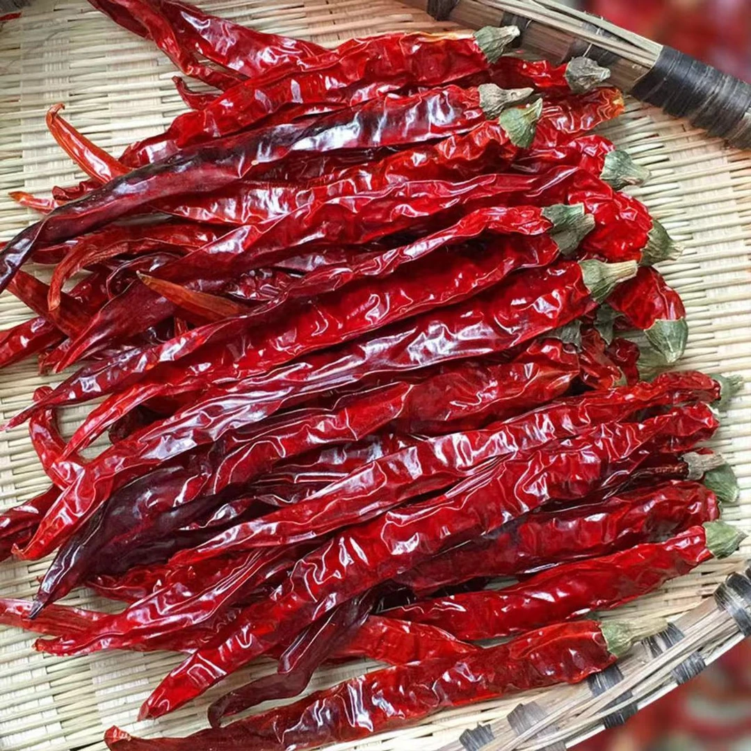 【微辣特香】贵州二荆条干辣椒农家精品炖煮卤红油海椒天然香辣细长