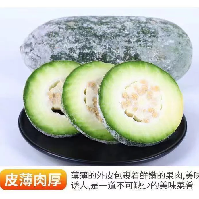 水果冬瓜新鲜采摘小冬瓜