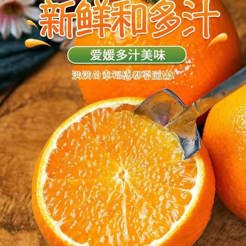 弘橙特惠果冻橙子水果9斤58申通包邮爱媛果冻橙天然