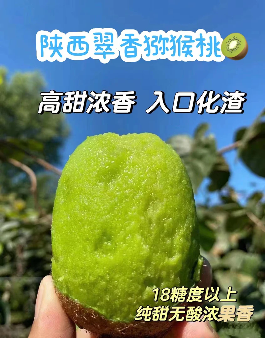 【陕西周至翠香猕猴桃】2025年头茬新鲜绿心奇异果软糯多汁产地直发