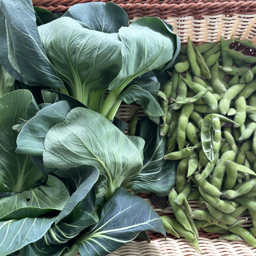 【顺丰上门蔬菜组合】家庭蔬菜组合