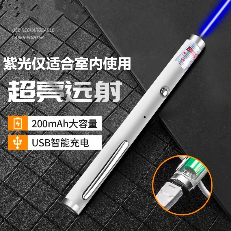 初起点售楼部处激光笔沙盘射笔激光手电教鞭绿光远射激光灯指示笔