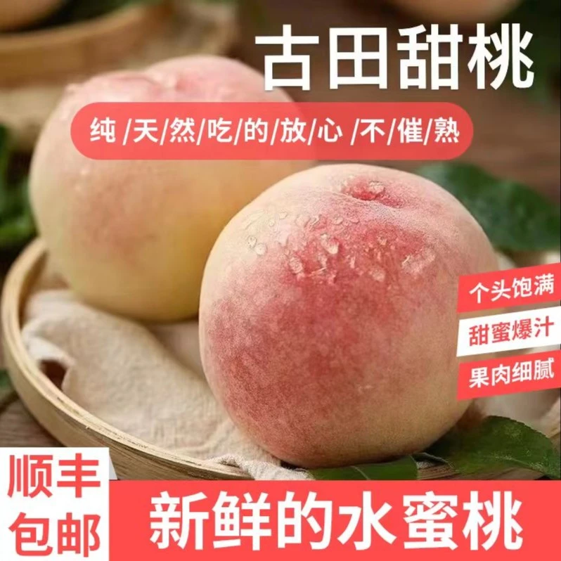 【顺丰包邮】福建古田水蜜桃甜桃5斤含箱新鲜现采现发甜蜜
