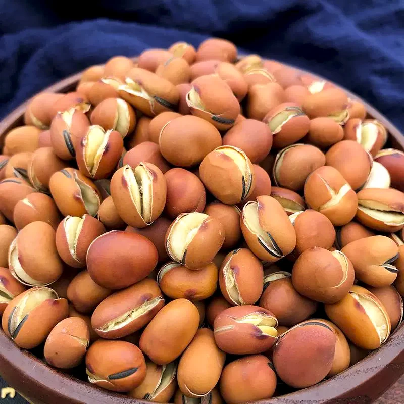 农家铁锅炒蚕豆新货原味胡豆传统炒货零食干炒大豆正宗原味蚕豆